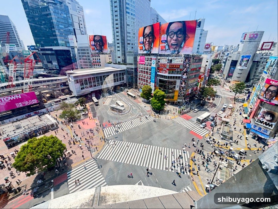 Shibuya Crossing View