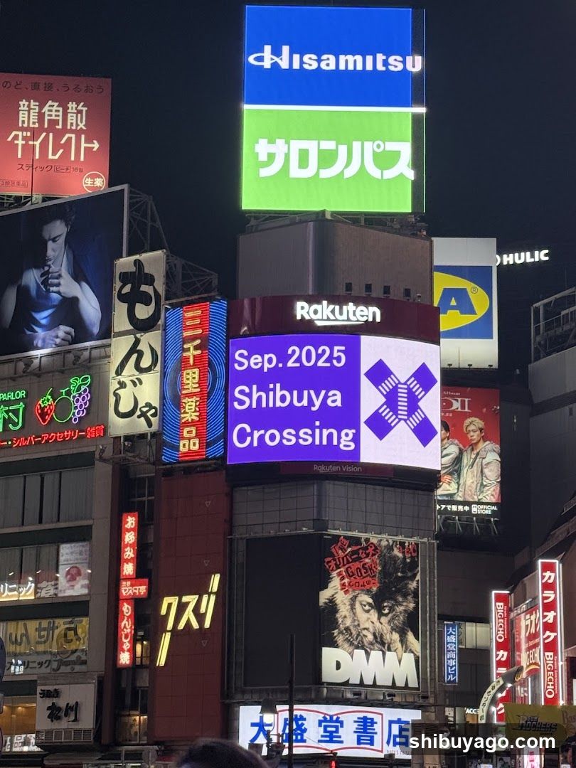 Shibuya Crossing Night Scene