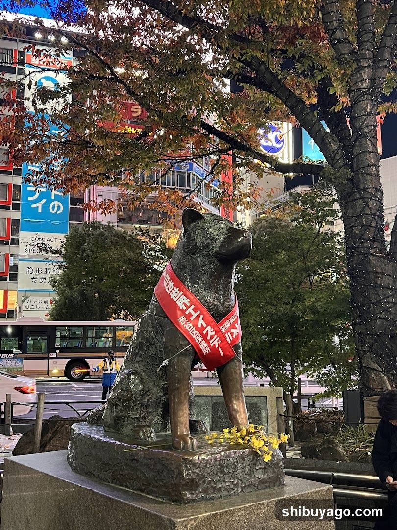 Hachiko Statue with Ribbon