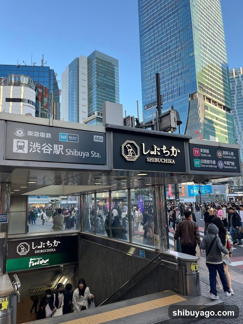 Shibuya Station Entrance