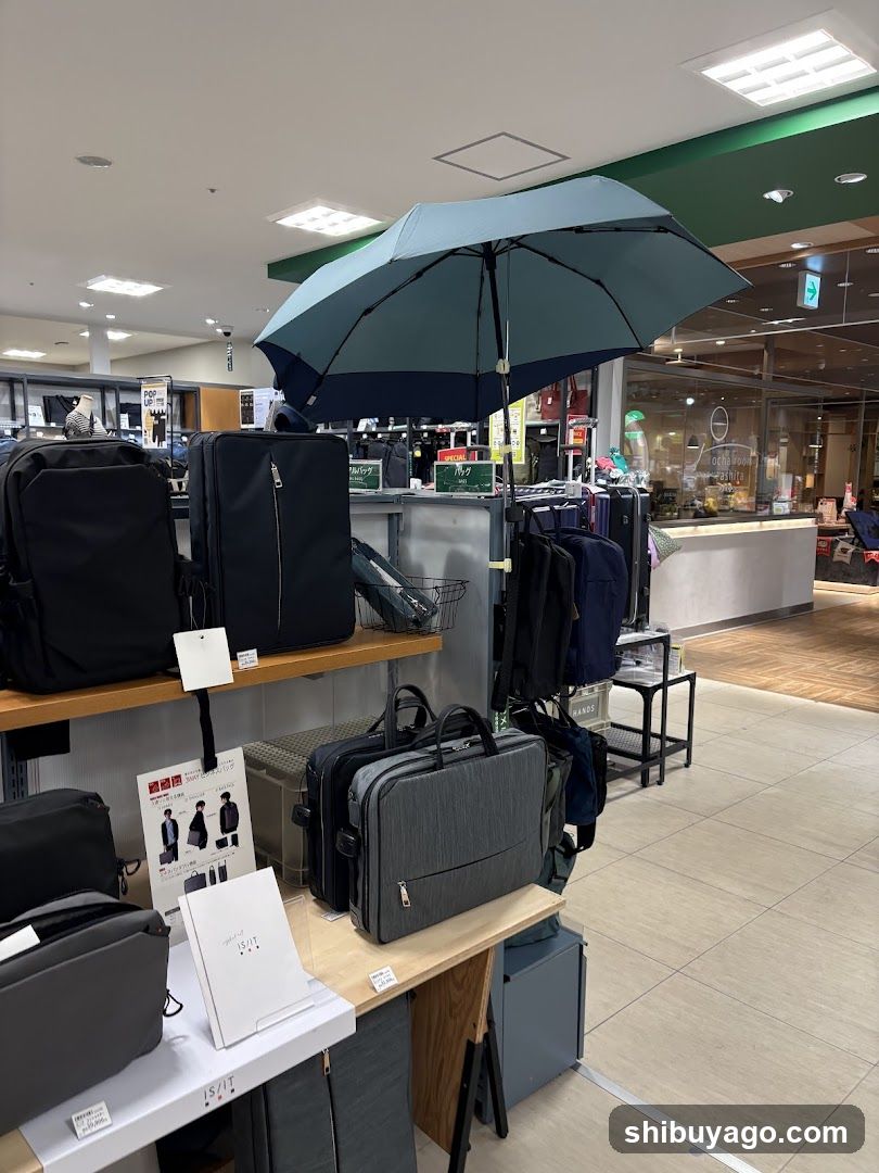 Luggage Display in Store Interior