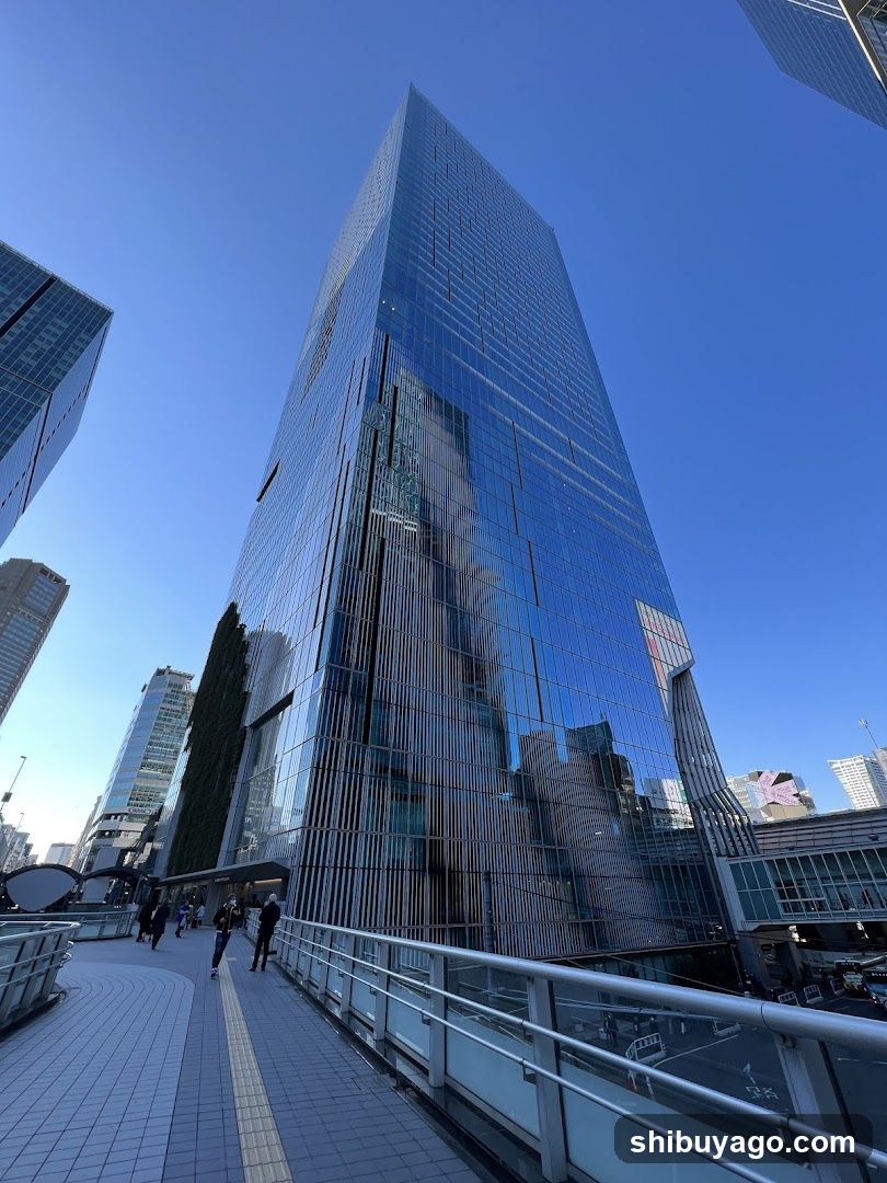 Skyscraper Reflections
