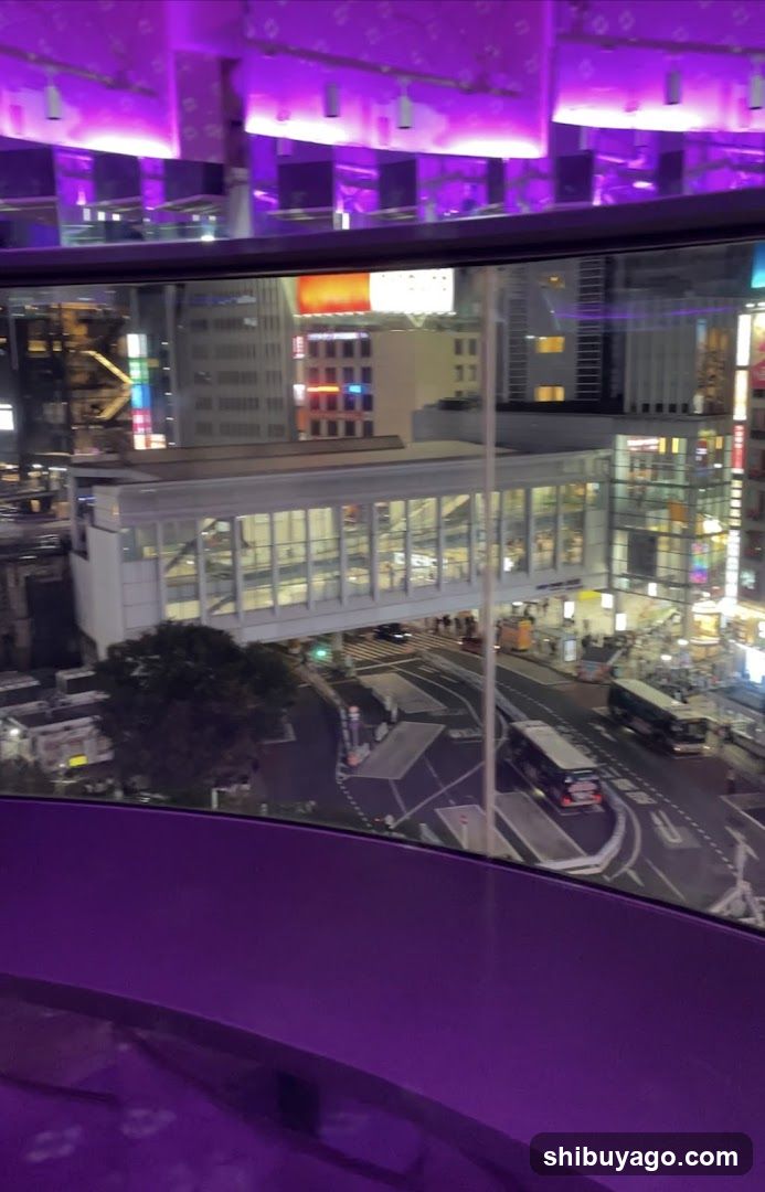 Night City View from Elevated Perspective