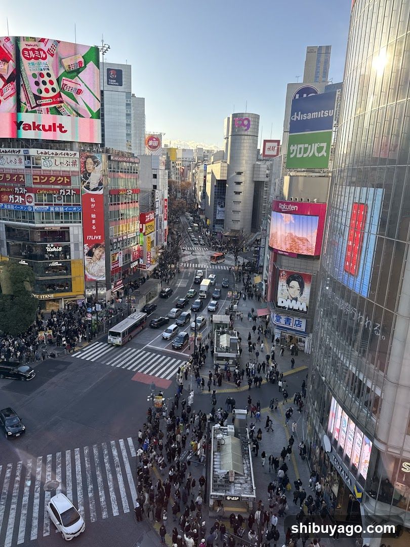 Shibuya Crossing View