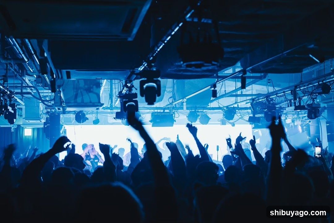 Blue-Lit Concert Crowd