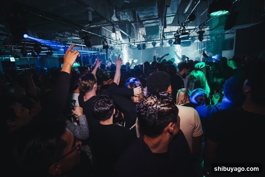 Crowd at a club or concert venue
