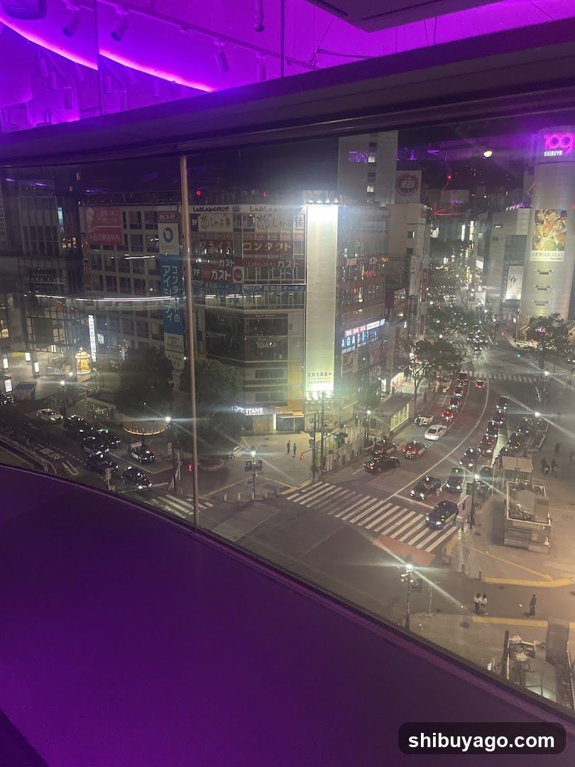 Night City View from Window