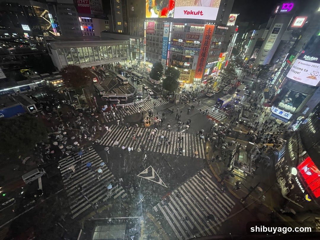 Shibuya Crossing Night View