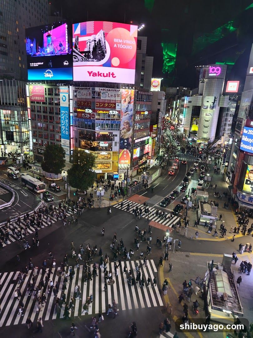 Shibuya Crossing Night View
