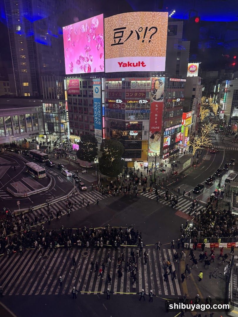 Shibuya Crossing Night View