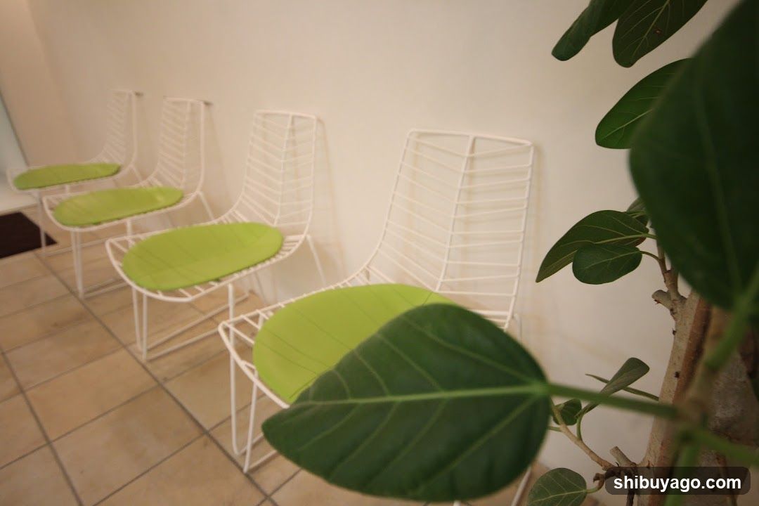 Wireframe Chairs with Green Cushions