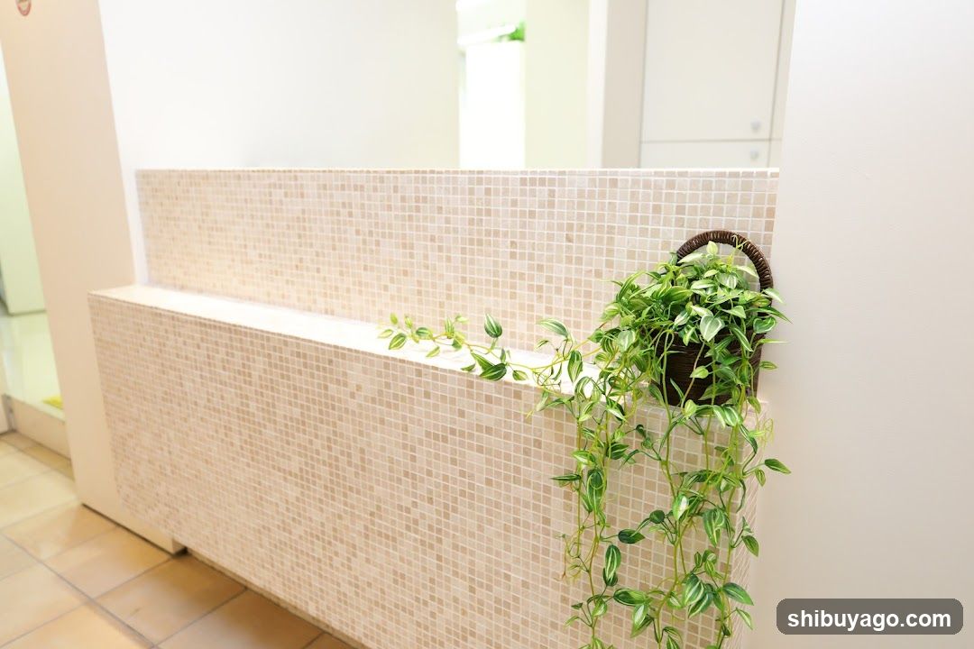 Mosaic Wall with Hanging Plant