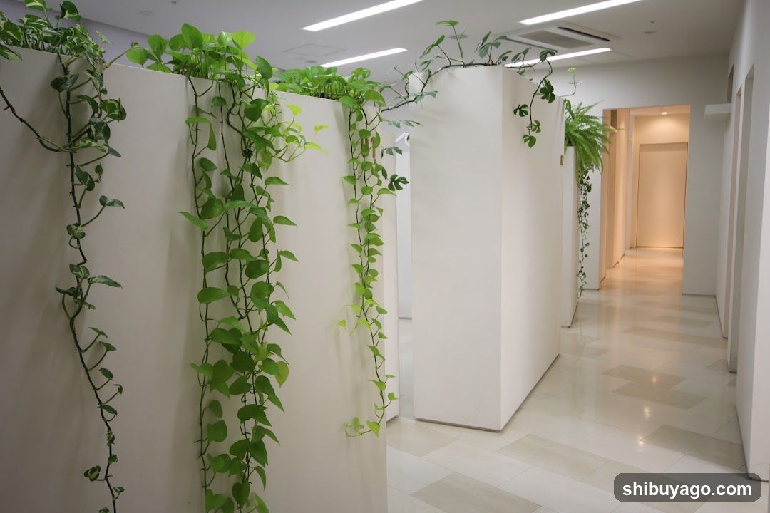Greenery Decorated Interior Space