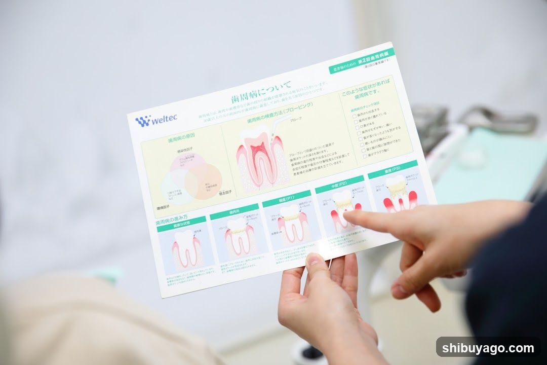 Dental Hygiene Information Sheet
