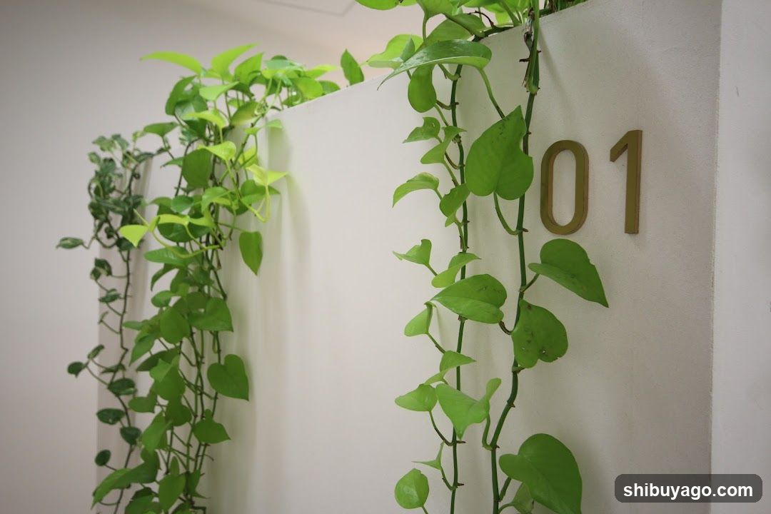 Green Vines on Wall with Room Number