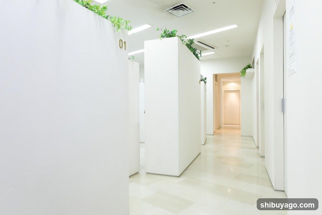 Bright White Interior Hallway with Greenery