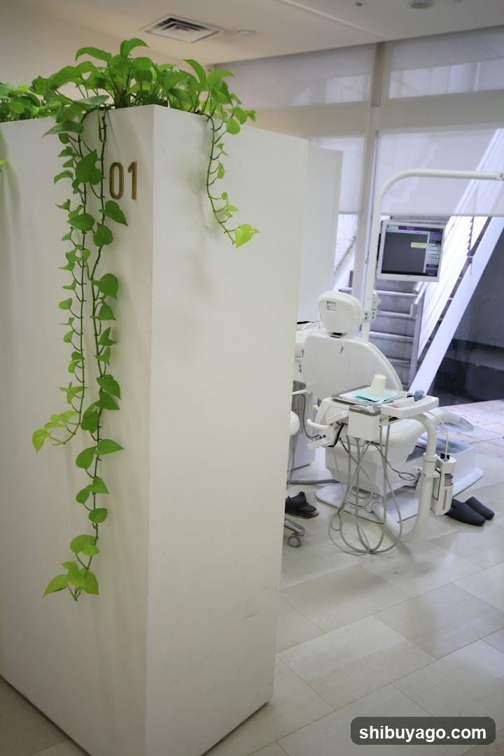 Dental Clinic Interior