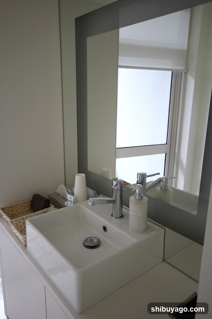 Bathroom Sink Area