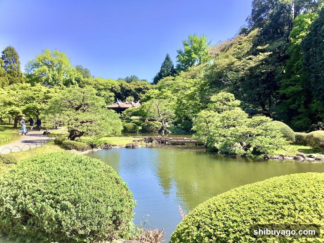 Japanese Garden