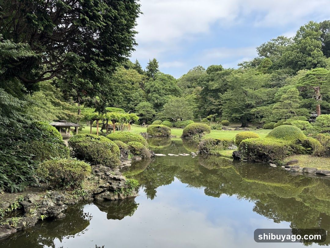 Japanese Garden