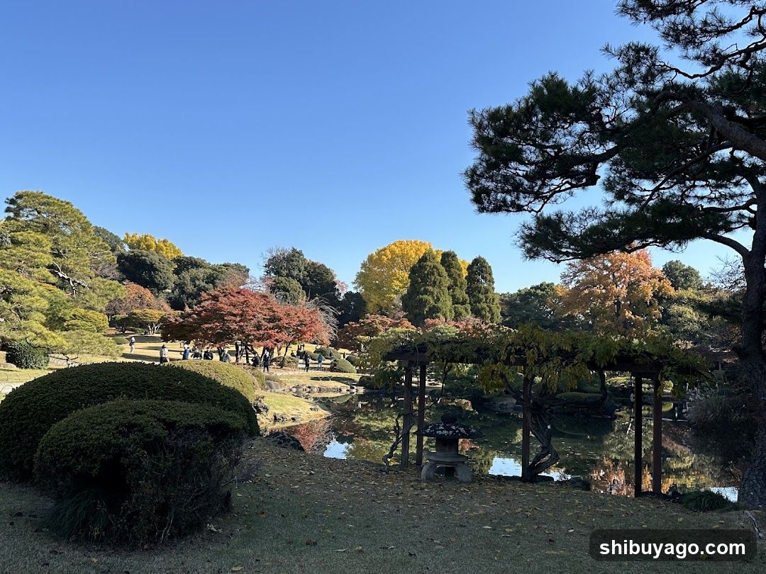 Autumn Garden Scene