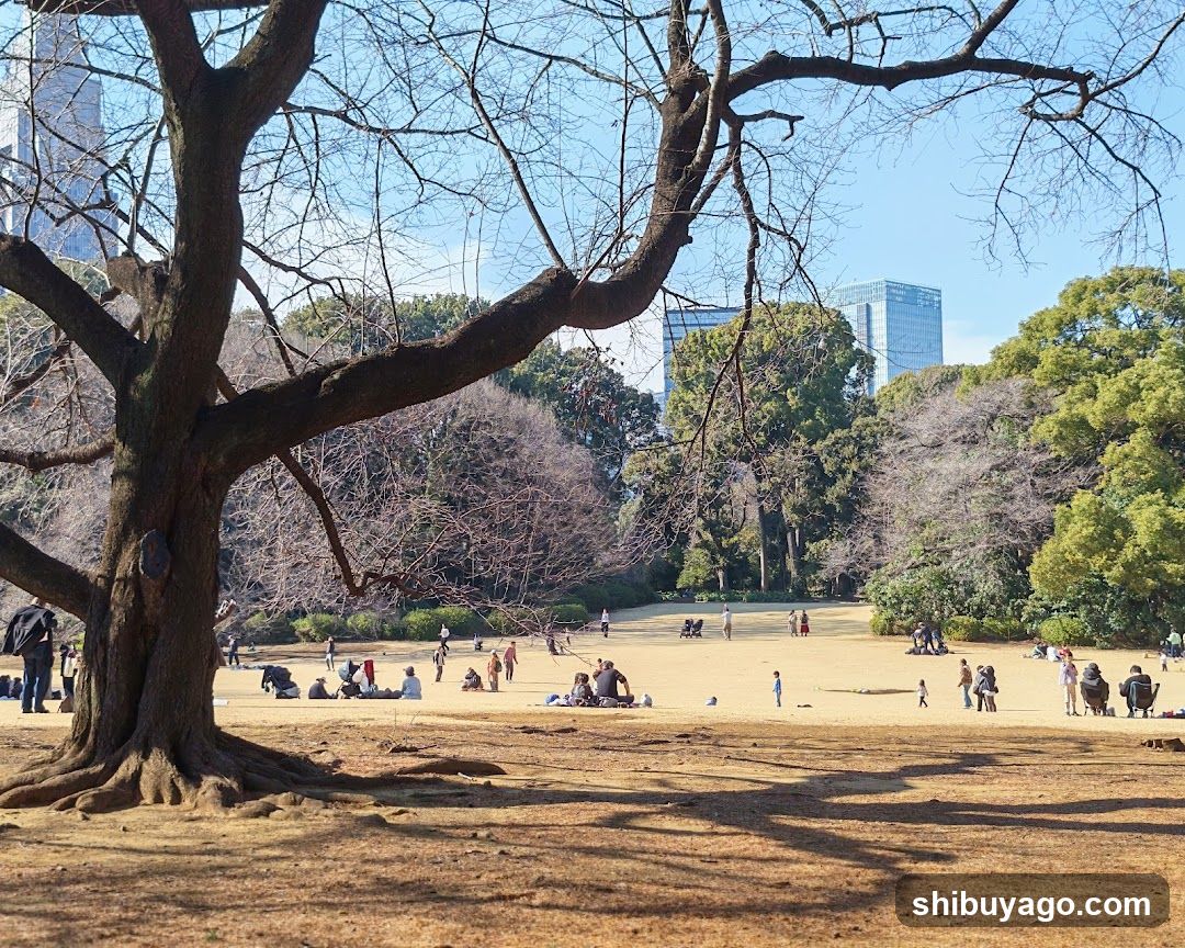Park Scene with People Relaxing