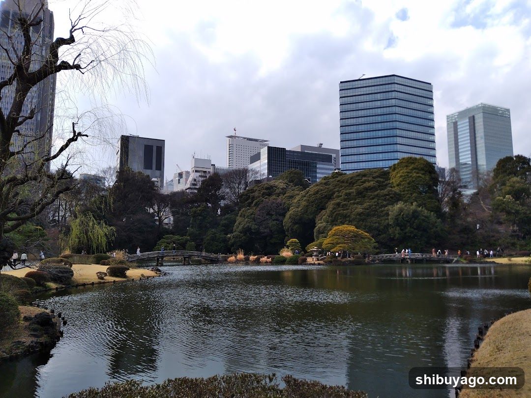 Urban Park with Modern Skyscrapers