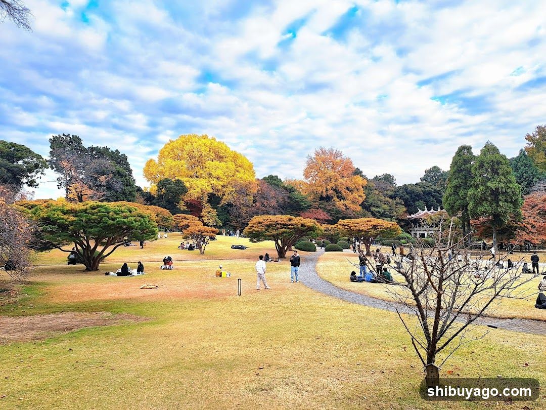 Autumn Park Scene