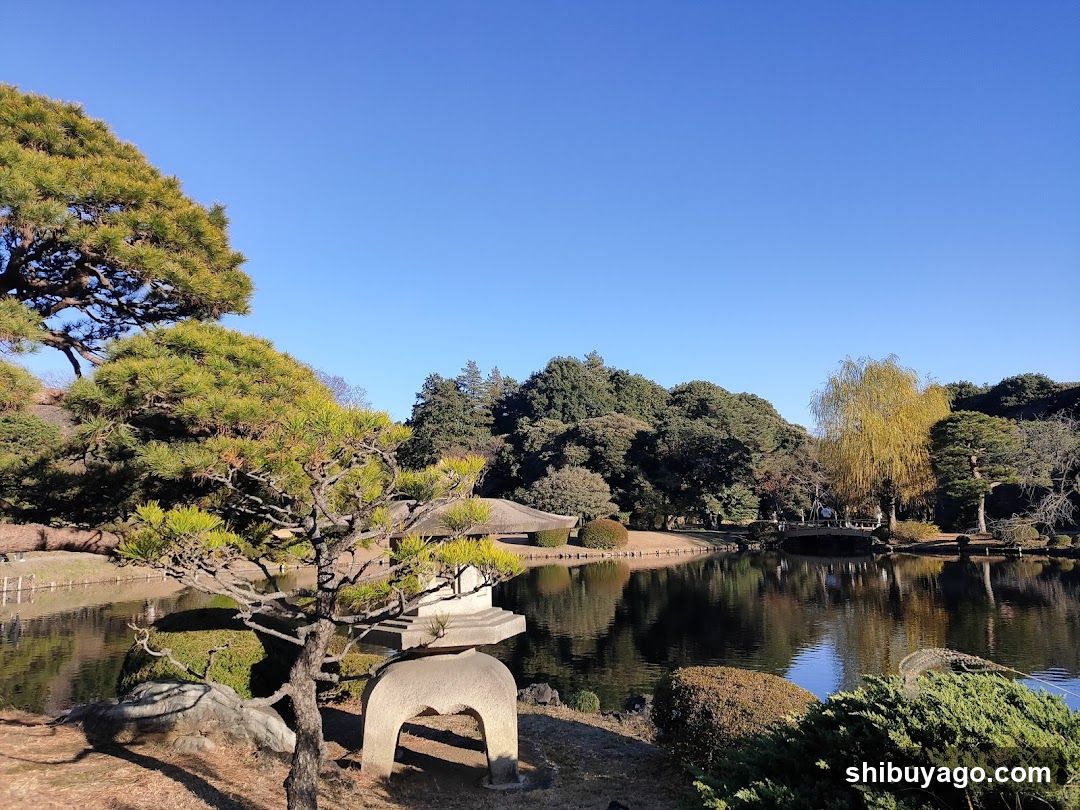 Japanese Garden Scene