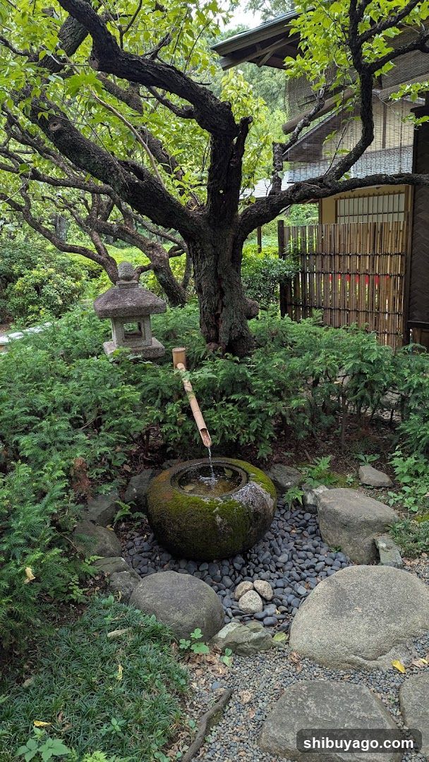 Japanese Garden Water Feature