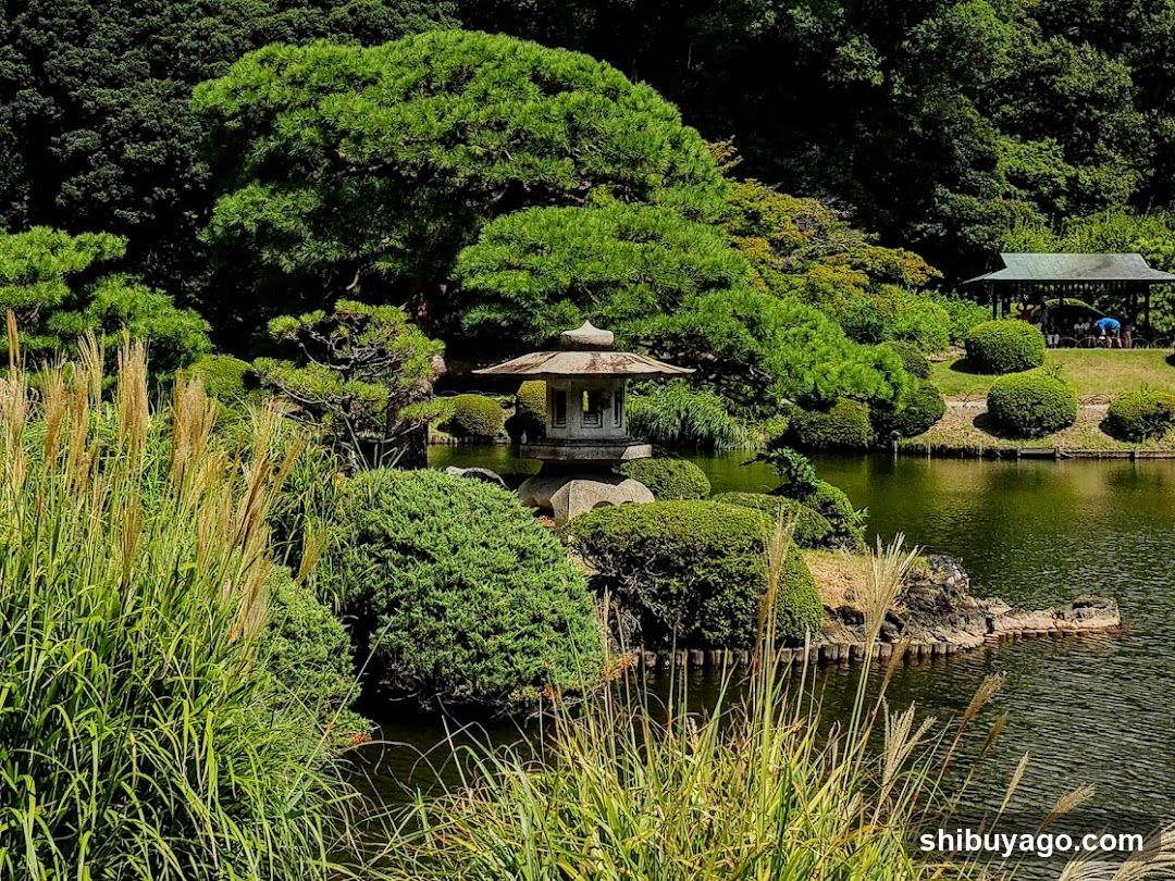 Japanese Garden Scene with Pavilion and Pond