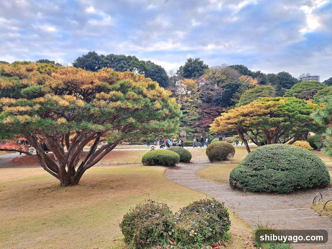 Park Scene with Autumn Trees