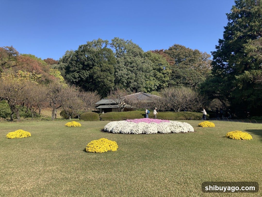 Flower Garden Scene