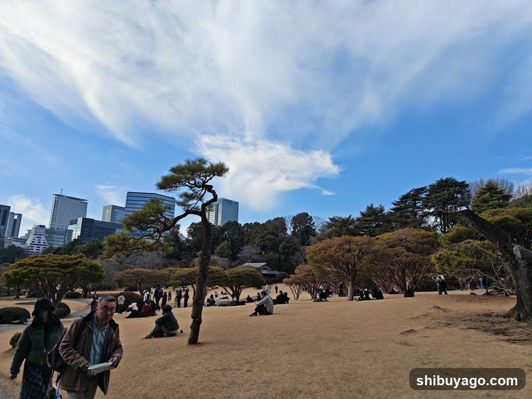 Park Scene with City Skyline