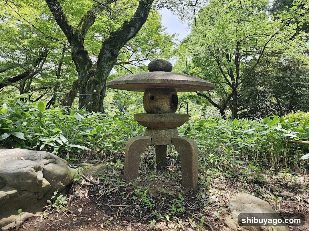 Stone Lantern in Forest