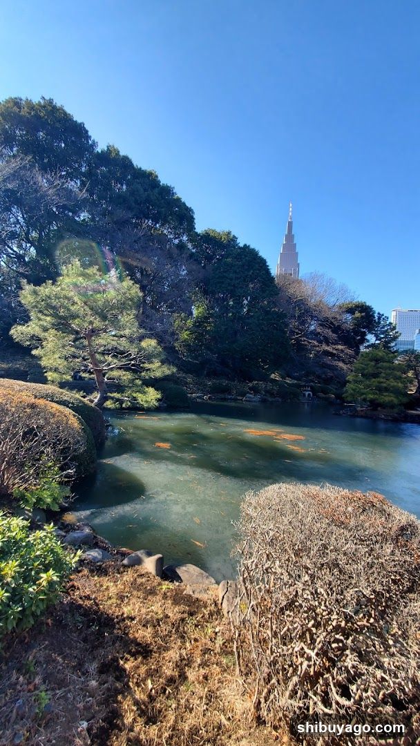 Kiyomizu-cho Fish Pond with Tokyo Tower in Background