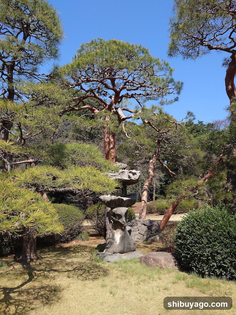 Japanese Garden with Rock Formation