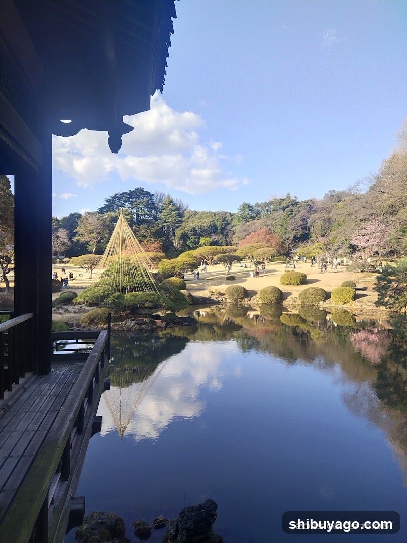 Japanese Garden View from Pavilion