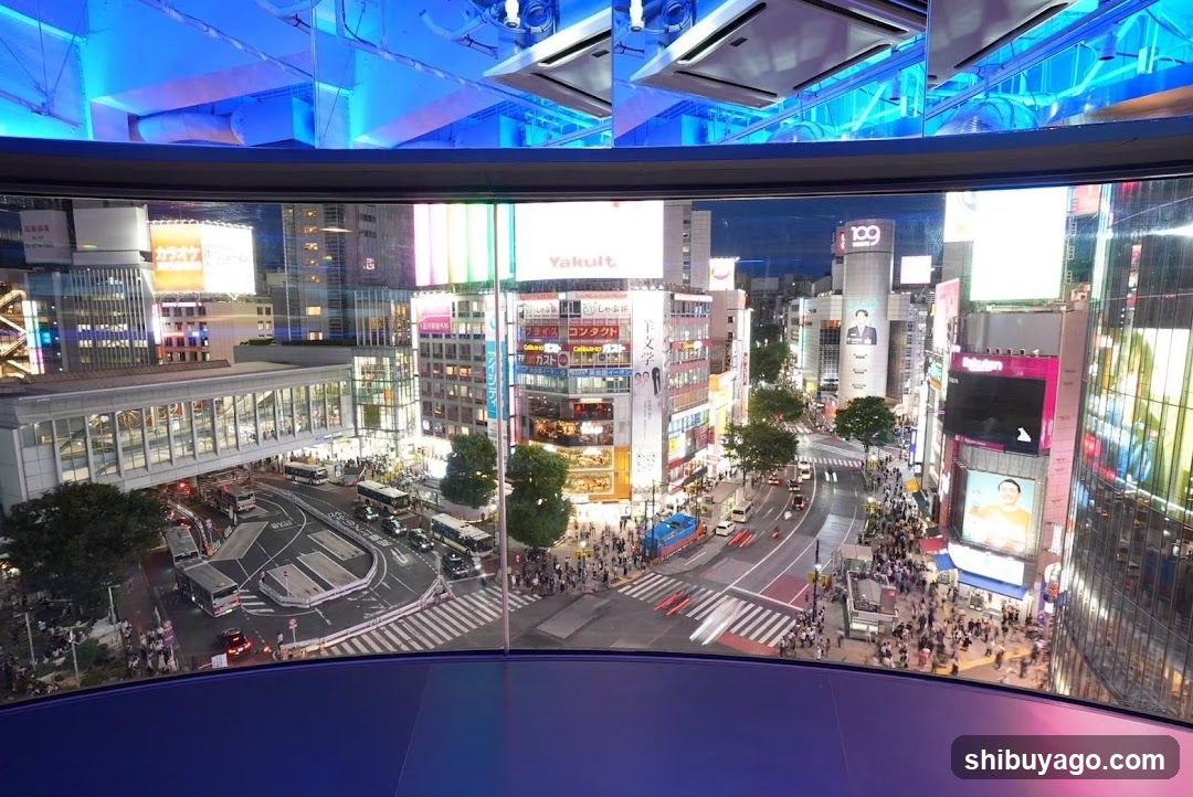 Shibuya Crossing Night View from Observation Deck
