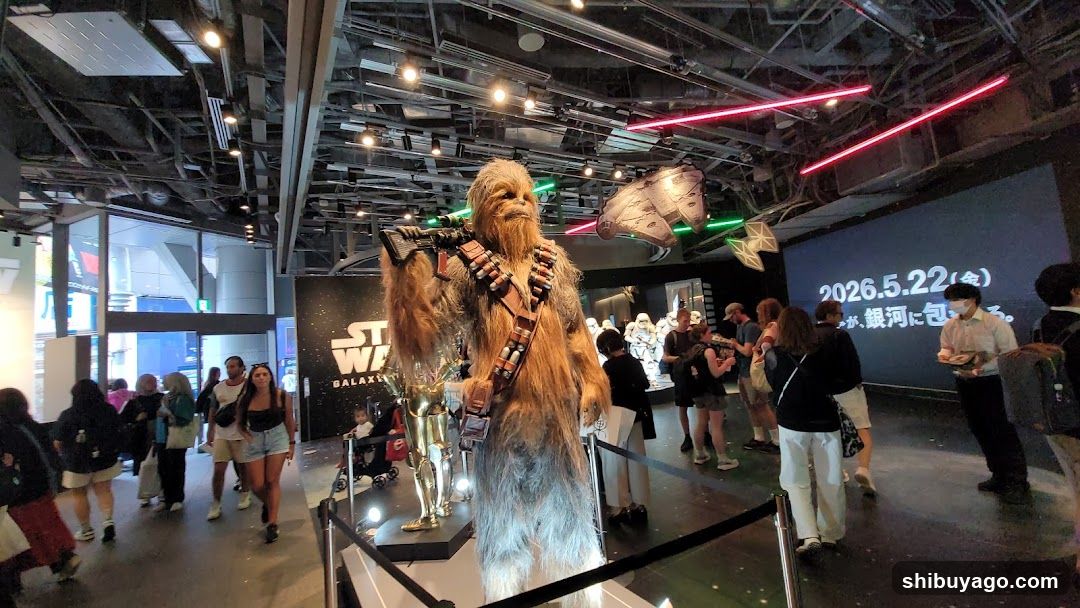 Star Wars Galaxy Exhibition Interior