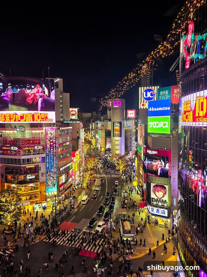 Shibuya Crossing Night View