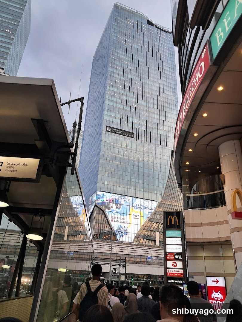 Shibuya Station Area View