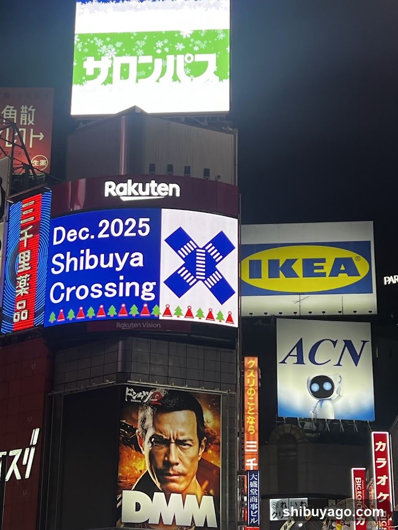 Shibuya Crossing Night Scene