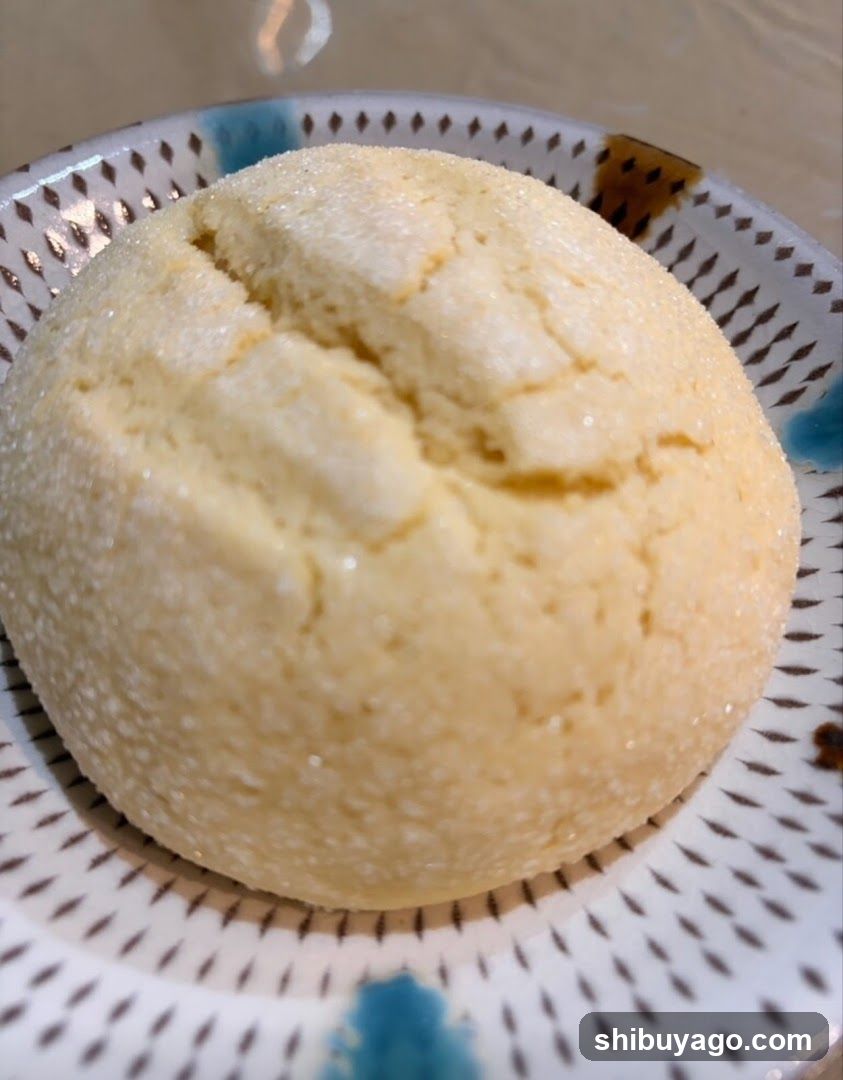 Baked Bun on Patterned Plate