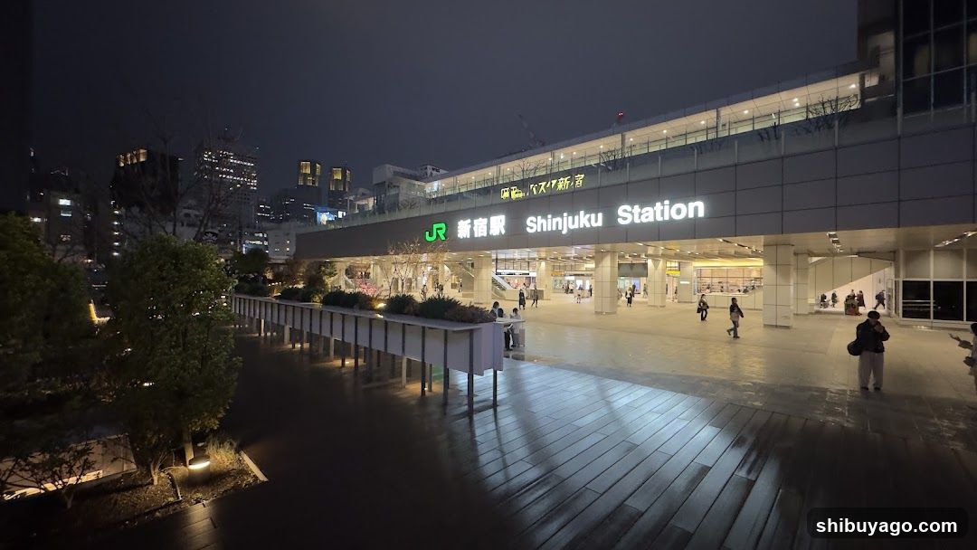 Shinjuku Station Night View