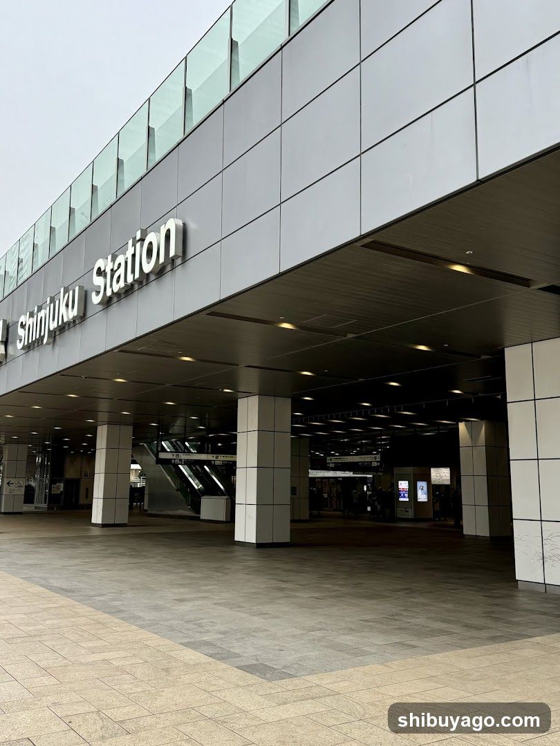 Shinjuku Station Entrance