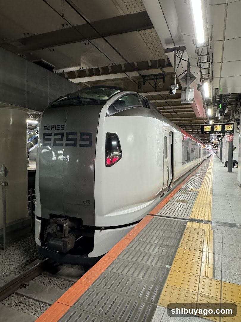 Shinkansen E259 at Platform