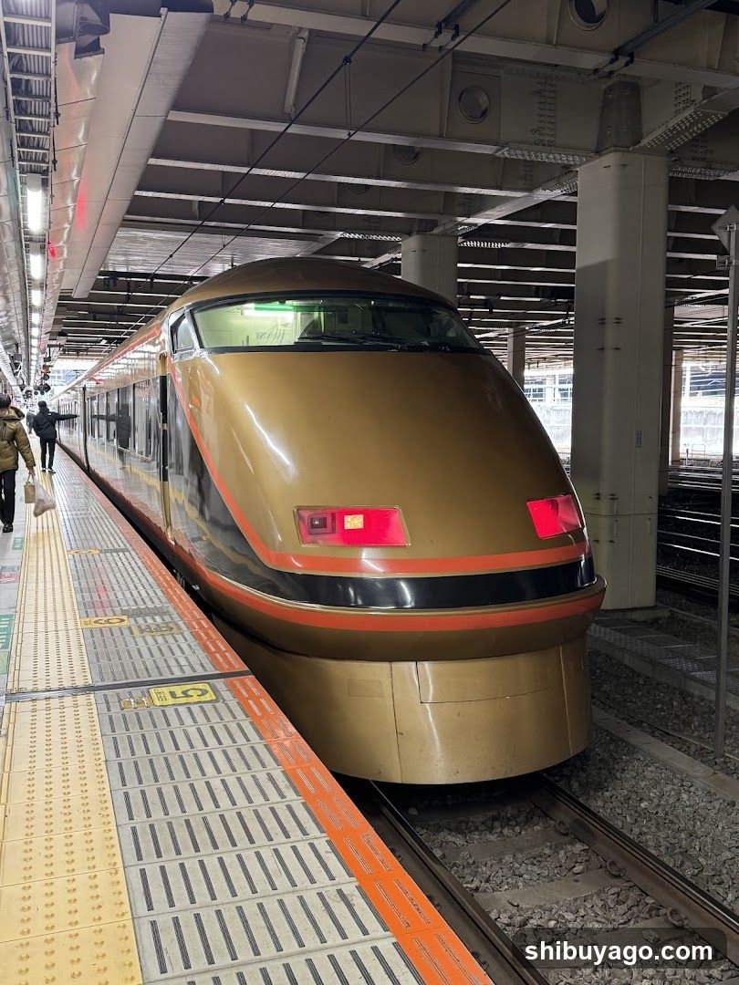 Shinkansen at Platform