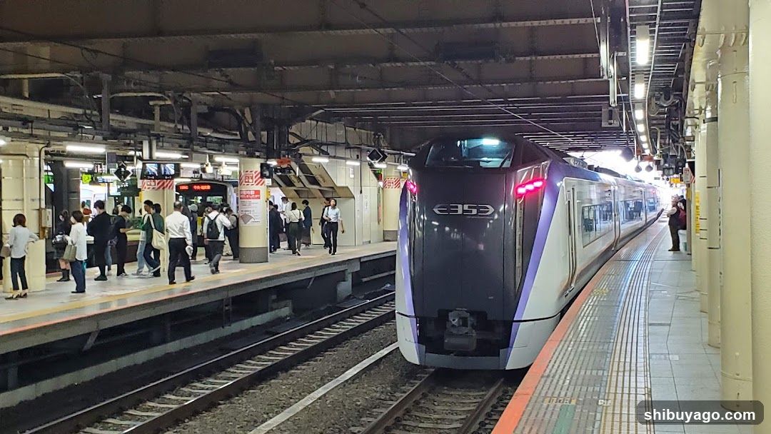 Train at Station Platform