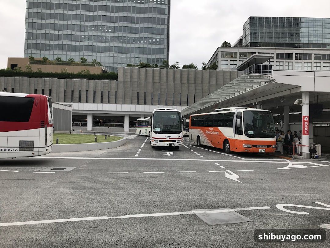 Bus Terminal Exterior